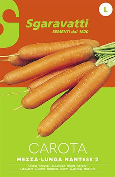 Semi Per Ortaggi E Vegetali Carota Lunga Nantese 2 - 20 Pezzi - Sgaravatti in Vegetali BricoGo - Marano di Napoli, commercioVirtuoso.it