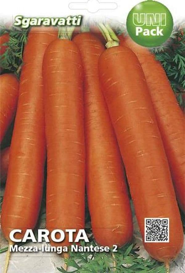 Semi Per Ortaggi E Vegetali Carota Lunga Nantese 2 - 20 Pezzi - Sgaravatti in Vegetali BricoGo - Marano di Napoli, commercioVirtuoso.it