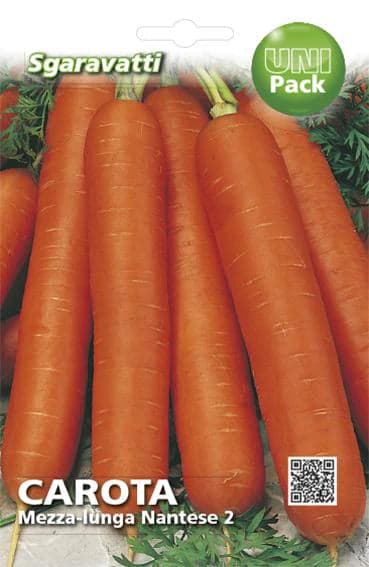 Semi Per Ortaggi E Vegetali Carota Lunga Nantese 2 - 20 Pezzi - Sgaravatti in Vegetali BricoGo - Marano di Napoli, commercioVirtuoso.it