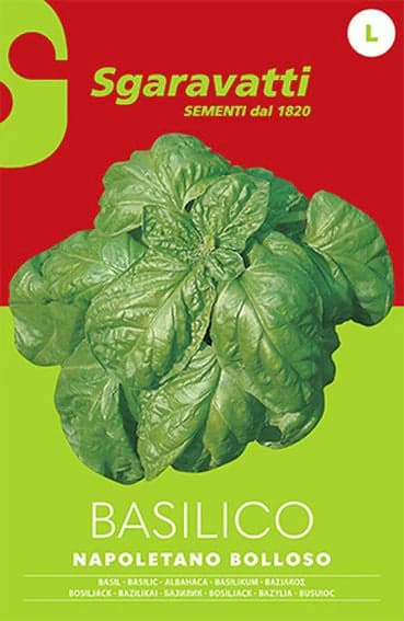 Semi Per Ortaggi E Vegetali Basilico Napoletano Bolloso 20 Pezzi - Sgaravatti in Vegetali BricoGo - Marano di Napoli, commercioVirtuoso.it