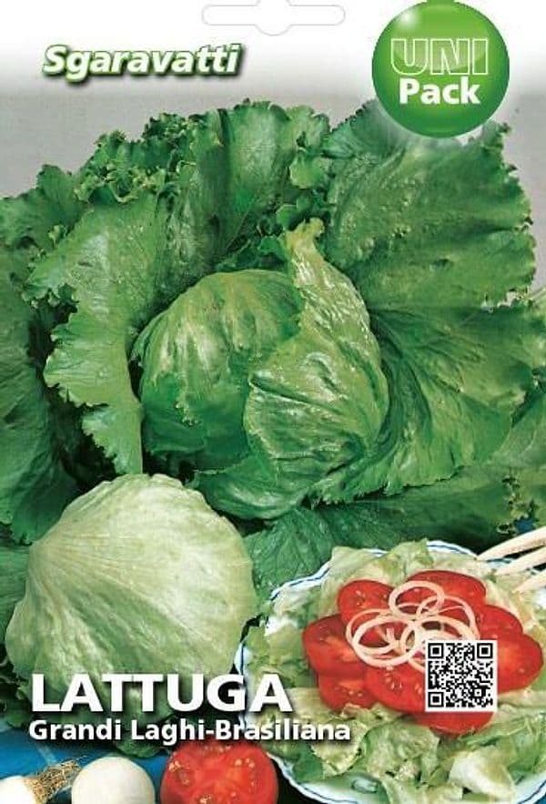 Semi Per Ortaggi E Vegetali Lattuga Grandi Laghi - Brasiliana- 20 Pezzi - Sgaravatti in Vegetali BricoGo - Marano di Napoli, commercioVirtuoso.it