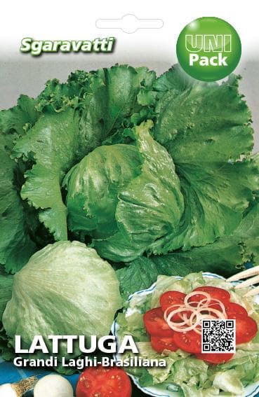 Semi Per Ortaggi E Vegetali Lattuga Grandi Laghi - Brasiliana- 20 Pezzi - Sgaravatti in Vegetali BricoGo - Marano di Napoli, commercioVirtuoso.it