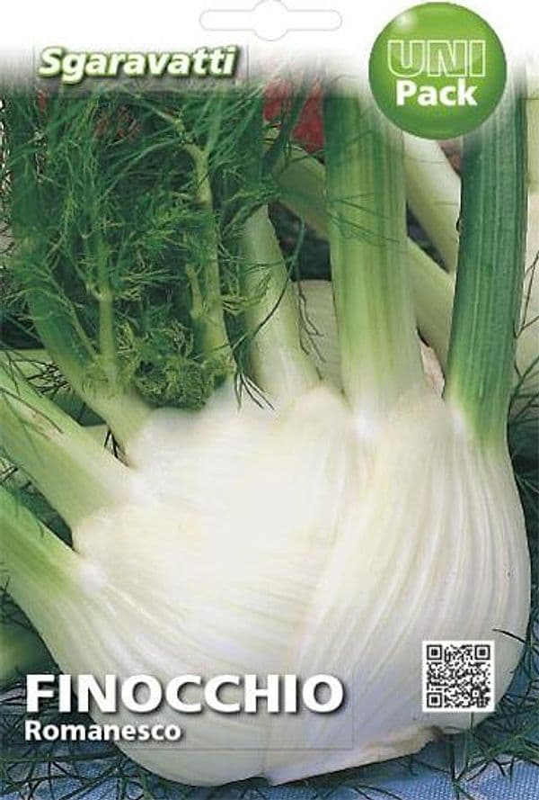 Semi Per Ortaggi E Vegetali Finocchio Romanesco- 20 Pezzi - Sgaravatti in Vegetali BricoGo - Marano di Napoli, commercioVirtuoso.it