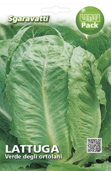 Semi per Ortaggi e Vegetali Lattuga Sgaravatti Verde degli 20 Pezzi