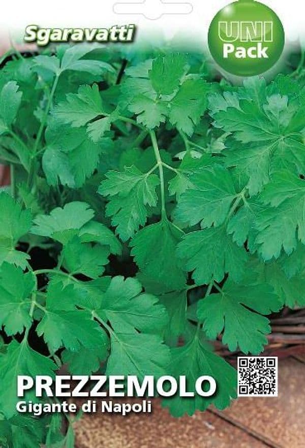 Semi Per Ortaggi E Vegetali Prezzemolo Gigante Napoli 20 Pezzi - Sgaravatti in Vegetali BricoGo - Marano di Napoli, commercioVirtuoso.it