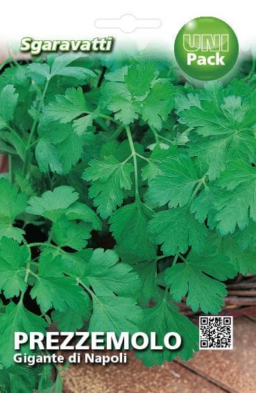 Semi Per Ortaggi E Vegetali Prezzemolo Gigante Napoli 20 Pezzi - Sgaravatti in Vegetali BricoGo - Marano di Napoli, commercioVirtuoso.it