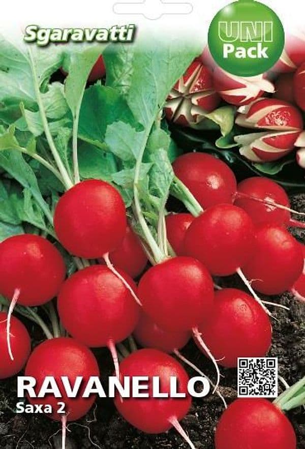 Semi Per Ortaggi E Vegetali Ravanello Saxa 2 - 20 Pezzi - Sgaravatti in Vegetali BricoGo - Marano di Napoli, commercioVirtuoso.it