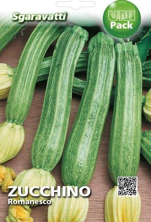 Semi Per Ortaggi E Vegetali Zucchino Romanesco 20 Pezzi - Sgaravatti in Vegetali BricoGo - Marano di Napoli, commercioVirtuoso.it