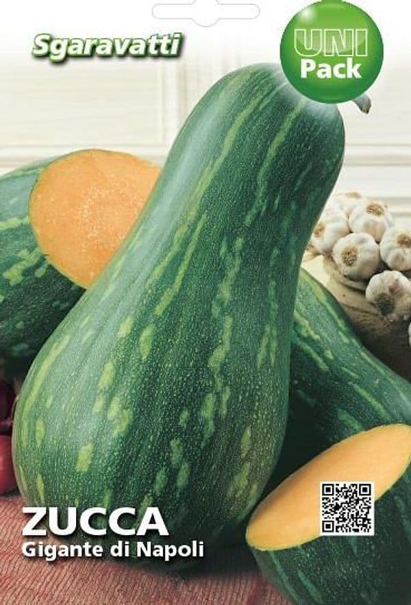 Semi Per Ortaggi E Vegetali Zucca Lunga Gigante Di Napoli 20 Pezzi - Sgaravatti in Vegetali BricoGo - Marano di Napoli, commercioVirtuoso.it