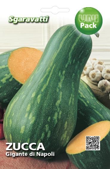 Semi Per Ortaggi E Vegetali Zucca Lunga Gigante Di Napoli 20 Pezzi - Sgaravatti in Vegetali BricoGo - Marano di Napoli, commercioVirtuoso.it
