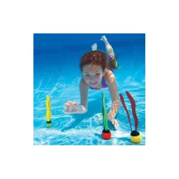 Gioco Acquatico Pallina Dive +6 Anni Peso Kg.0,18 (55503) Intex in Giochi da immersione sott'acqua BricoGo - Marano di Napoli, commercioVirtuoso.it