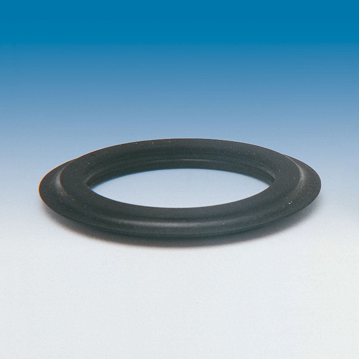 Guarnizione Di Ricambio Per Piletta Basket Inox Lira- Lira- Pezzi 1 in Rondelle di tenuta BricoGo - Marano di Napoli, commercioVirtuoso.it