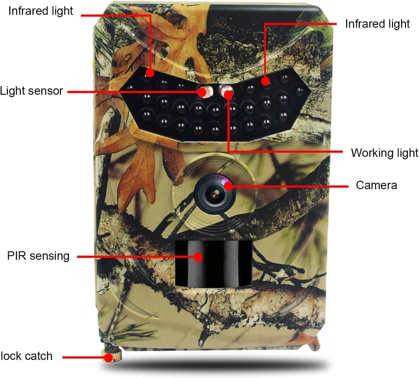 Fototrappola Telecamera caccia impermeabile per il monitoraggio fauna selvatica in Macchine fotografiche da caccia CL Store - Battipaglia, commercioVirtuoso.it