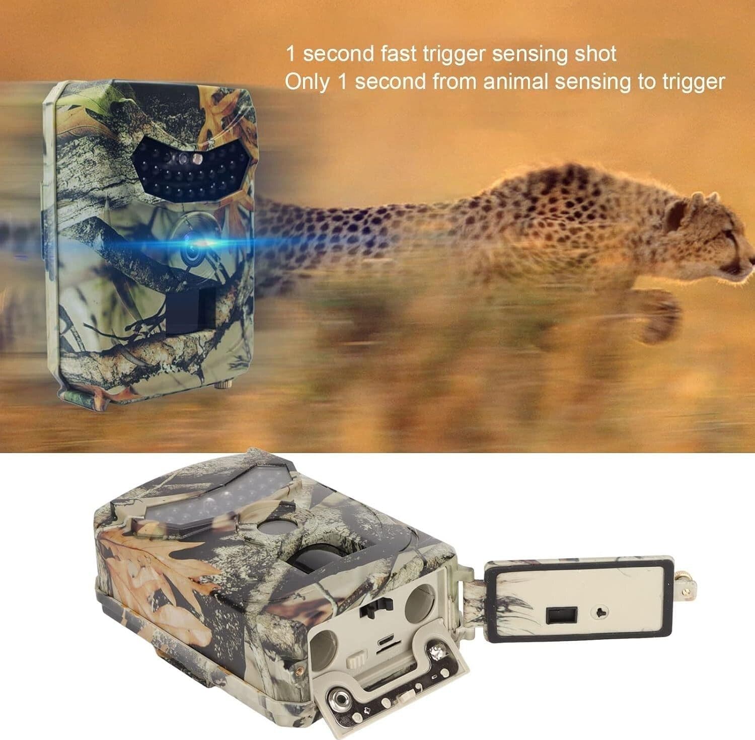Fototrappola Telecamera caccia impermeabile per il monitoraggio fauna selvatica in Macchine fotografiche da caccia CL Store - Battipaglia, commercioVirtuoso.it