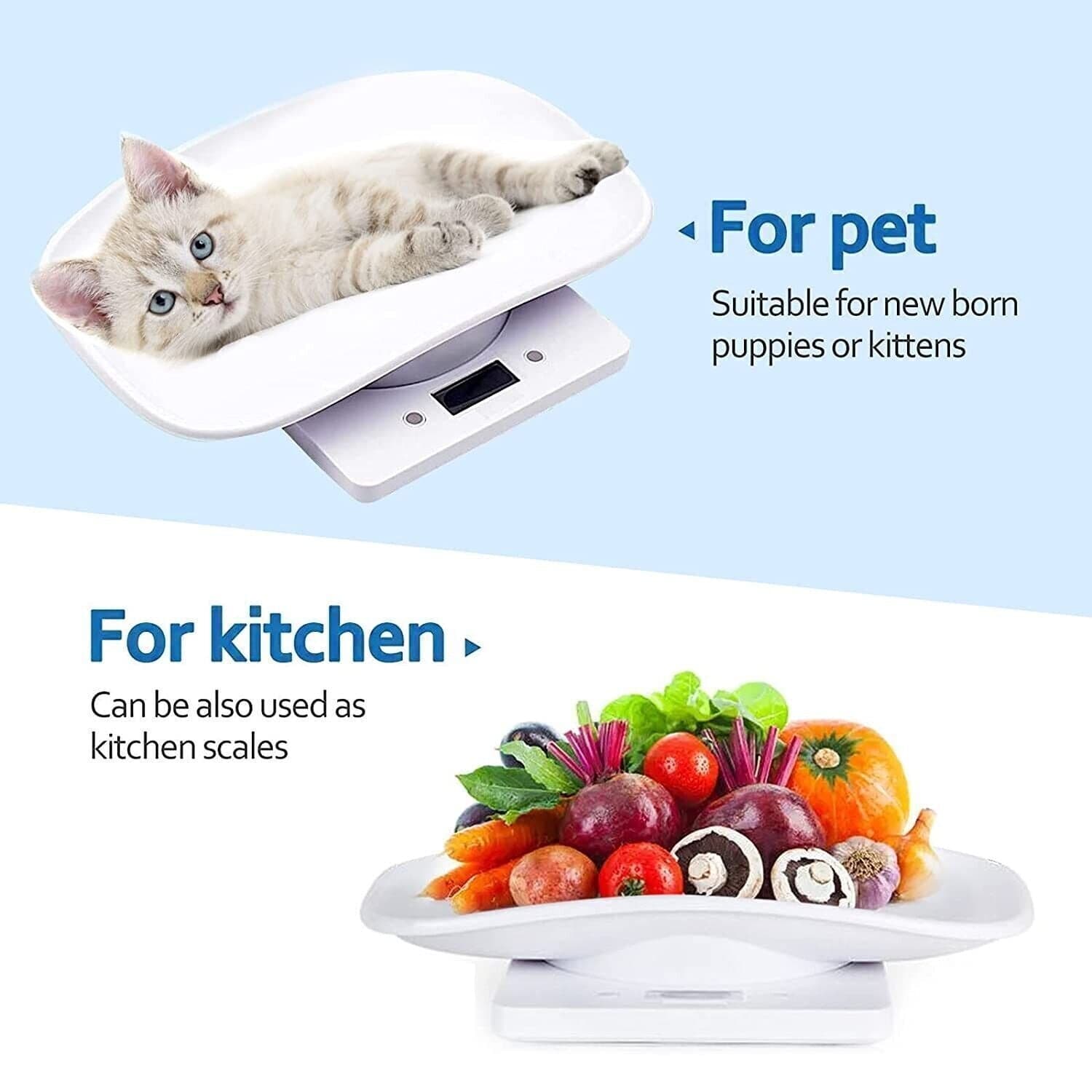 Bilancia per animali domestici, per cuccioli e gattini, misura piccoli animali in Bilance CL Store - Battipaglia, commercioVirtuoso.it