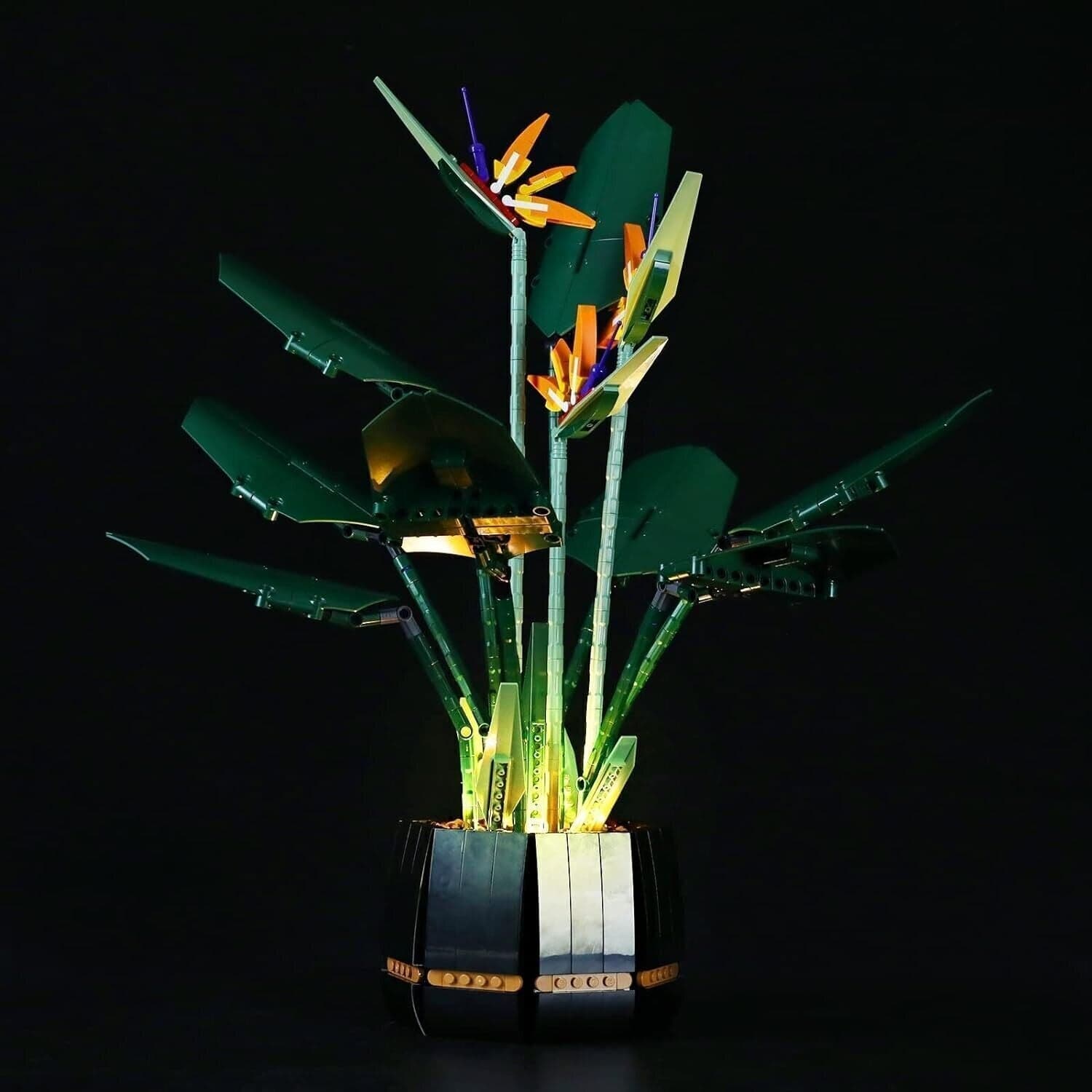 YEABRICKS Kit Luci a LED per Lego 10289 Creator Bird of Paradise Modello in Set di costruzioni CL Store - Battipaglia, commercioVirtuoso.it