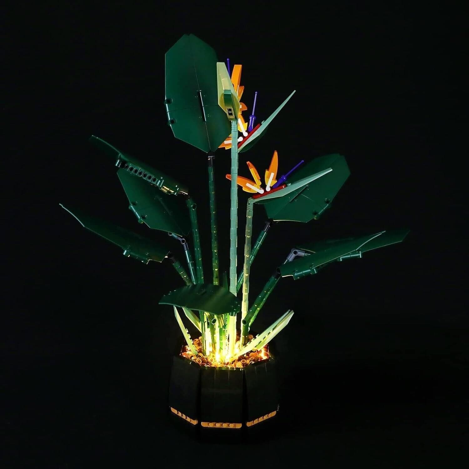 YEABRICKS Kit Luci a LED per Lego 10289 Creator Bird of Paradise Modello in Set di costruzioni CL Store - Battipaglia, commercioVirtuoso.it