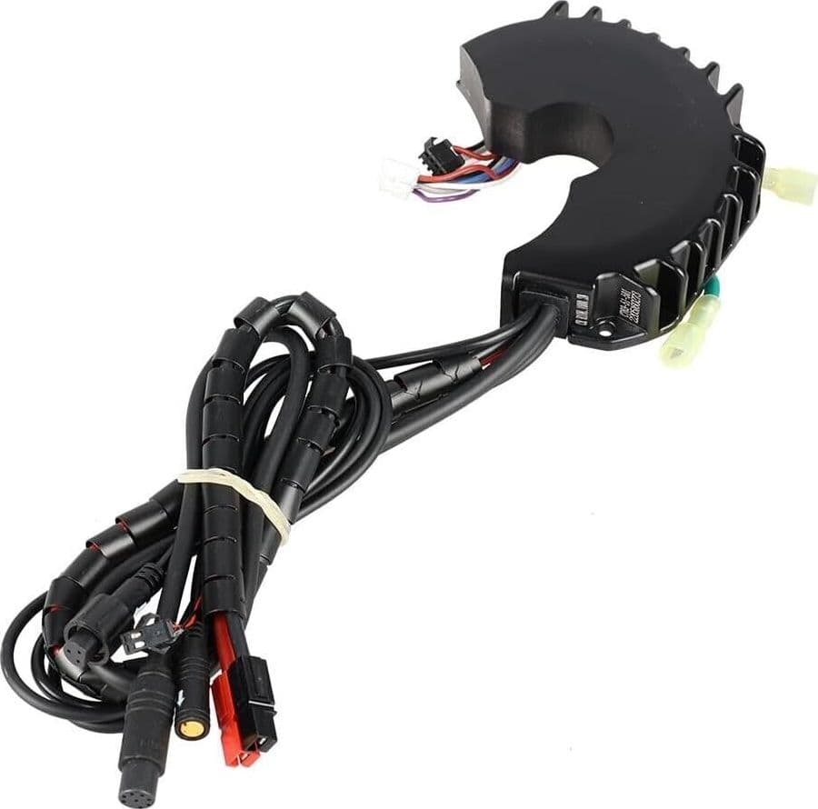Bafang BBS Controller Electric Bike Mid-Motor 2V 1000W Controllo Ebike Bici in Bici elettriche CL Store - Battipaglia, commercioVirtuoso.it