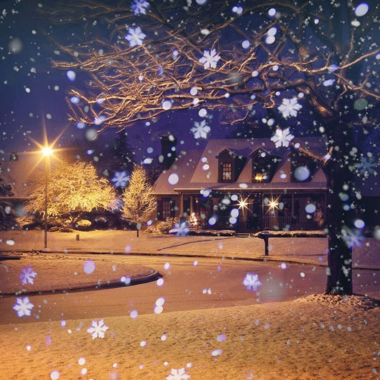Proiettore Luce Notturna, All'aperto Lampada di Proiezione Rotazione di 360° in Luci notturne per bambini CL Store - Battipaglia, commercioVirtuoso.it