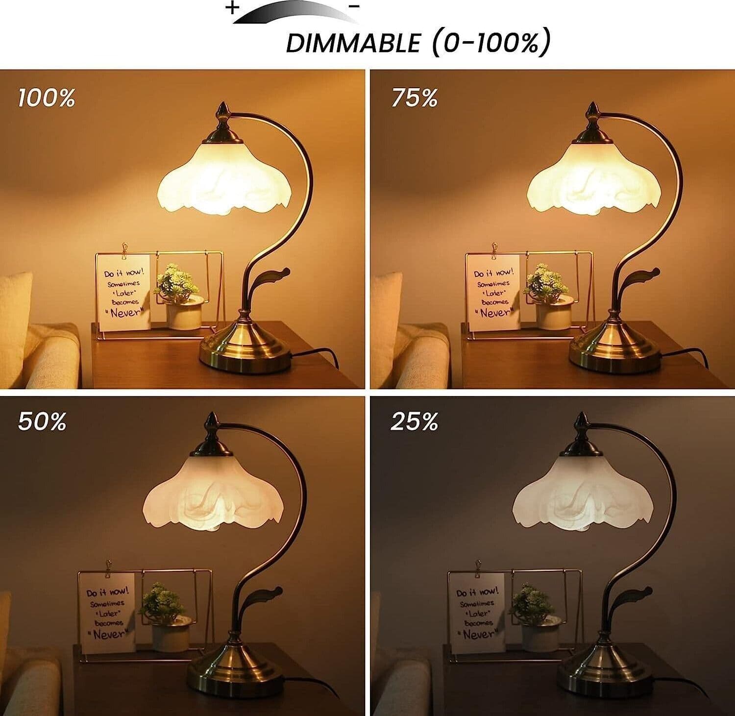 Lampadina a LED Klarlight E27, lampada a LED da 8 W, a incandescenza 6 Pcs in Lampadine a LED CL Store - Battipaglia, commercioVirtuoso.it
