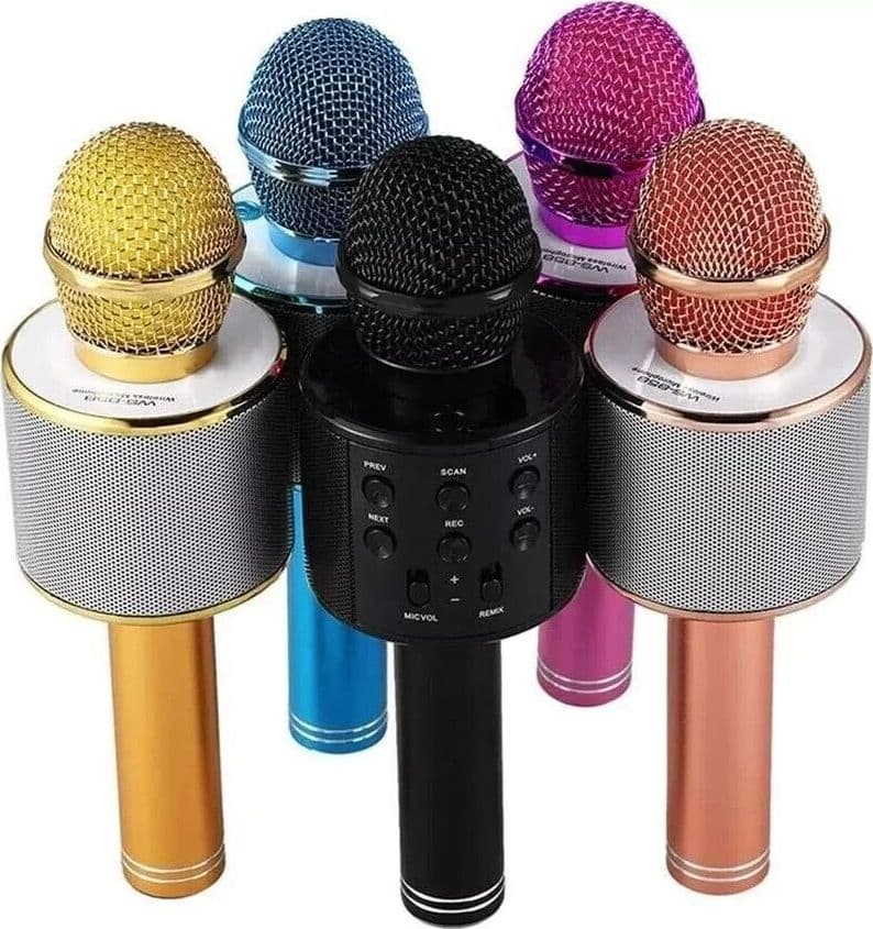 Microfono Wireless per Karaoke Altoparlante Cassa Integrata Bluetooth Portatile in Casse portatili Bluetooth CL Store - Battipaglia, commercioVirtuoso.it