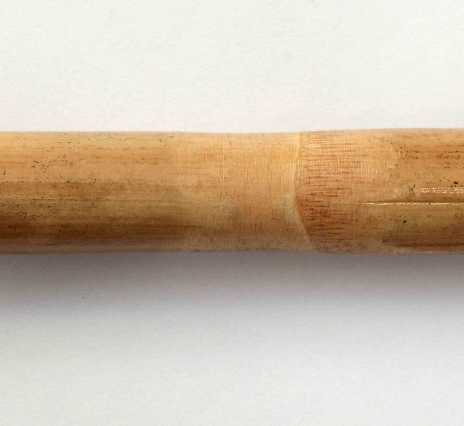 Canne Di Bamboo Per Tutori Piante Ø 20/22 Mm Altezza 150 Cm Confezione Da 50 Pezzi T-Rex in Stecche per piante BricoGo - Marano di Napoli, commercioVirtuoso.it