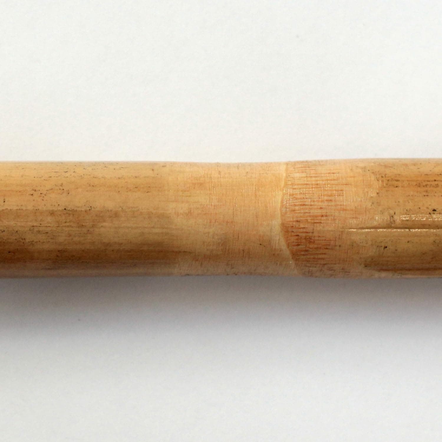 Canne Di Bamboo Per Tutori Piante Ø 20/22 Mm Altezza 150 Cm Confezione Da 50 Pezzi T-Rex in Stecche per piante BricoGo - Marano di Napoli, commercioVirtuoso.it