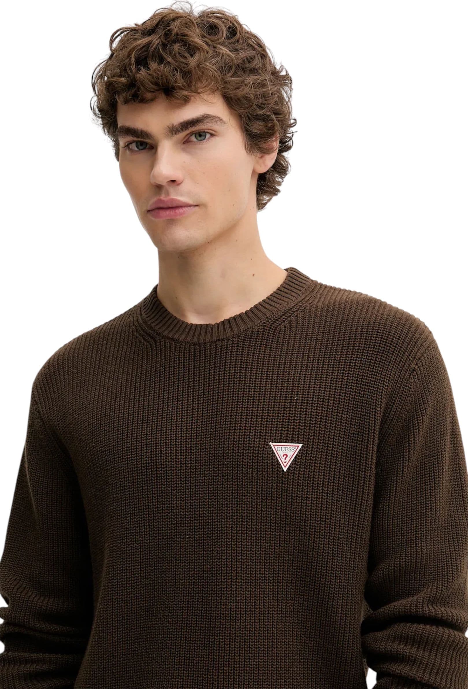 GUESS JEANS Maglione mini logo triangolo Adulto unisex Guess Jeans da uomo in Felpe senza cappuccio Drestige - Casamassima, commercioVirtuoso.it