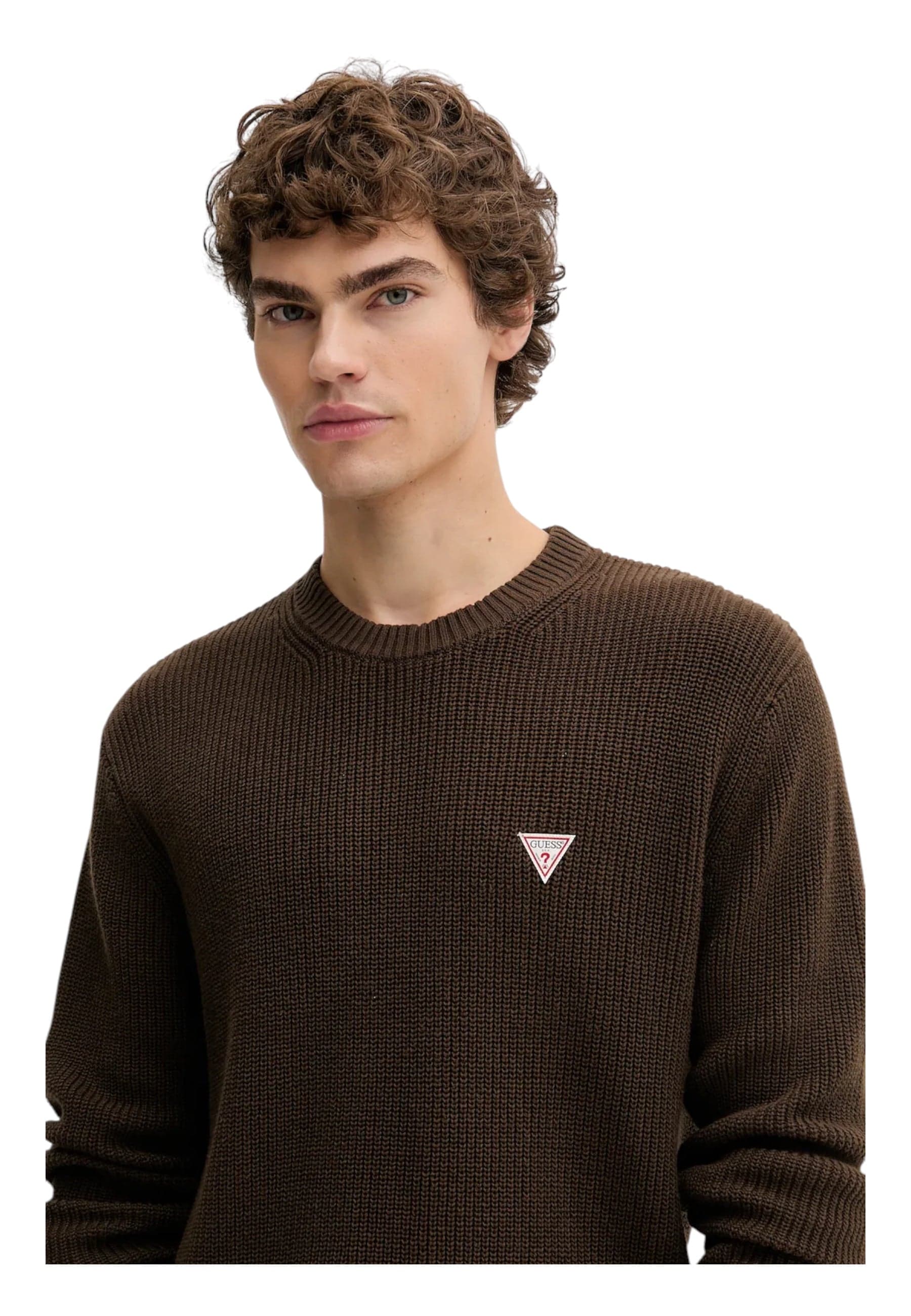 GUESS JEANS Maglione mini logo triangolo Adulto unisex Guess Jeans da uomo in Felpe senza cappuccio Drestige - Casamassima, commercioVirtuoso.it