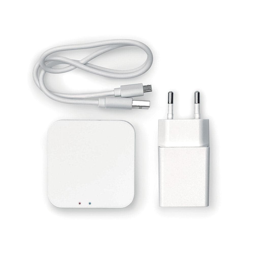 Smart Gateway- Sr- Pezzi 1 in Spine intelligenti e telecomandate BricoGo - Marano di Napoli, commercioVirtuoso.it