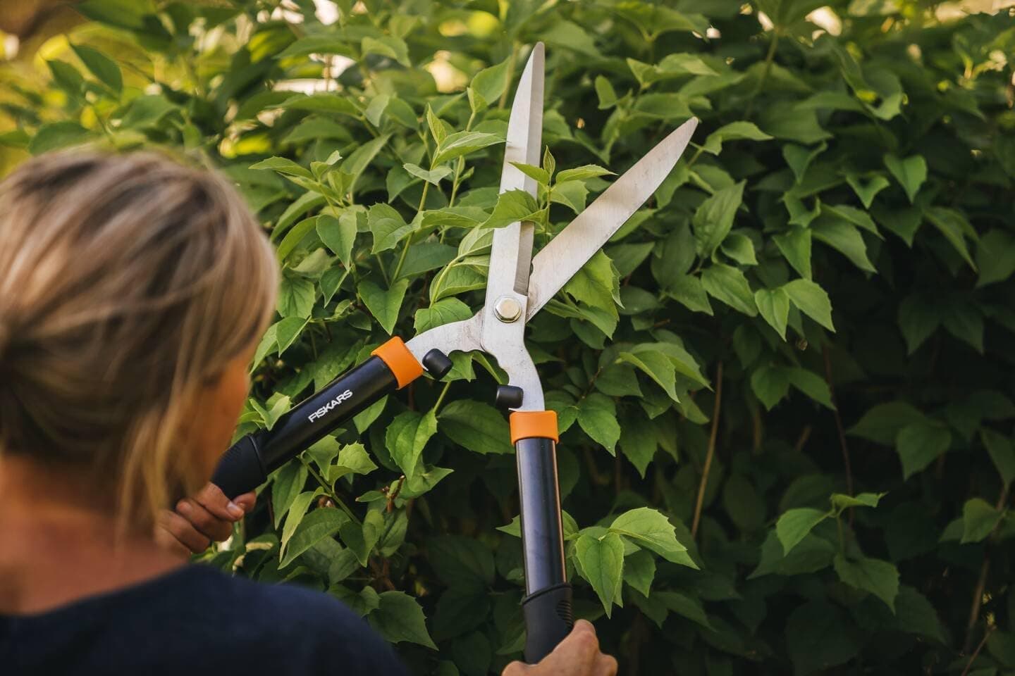 Forbice Per Siepe 'Hs21 Solid' Fiskars 55 Cm - Fiskars in Cesoie BricoGo - Marano di Napoli, commercioVirtuoso.it