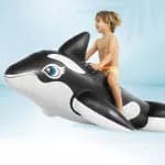 Orca Gonfiabile Cavalcabile +3 Anni Cm.193X119 Peso Kg.1,60 (58561) Intex in Canotti e gonfiabili galleggianti BricoGo - Marano di Napoli, commercioVirtuoso.it