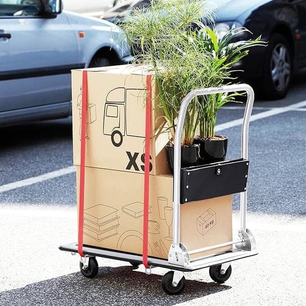 Carrello Portatutto A Piattaforma Portata 100 Kg - Cardinale in Carrelli a mano BricoGo - Marano di Napoli, commercioVirtuoso.it