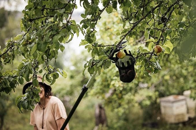 Fiskars Accessorio Coglifrutta Up80 in Forbici e cesoie per potatura BricoGo - Marano di Napoli, commercioVirtuoso.it