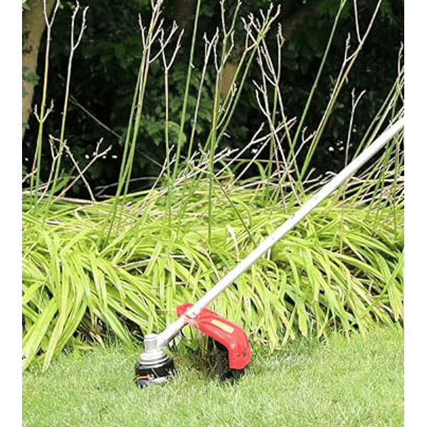 Decespugliatore A Scoppio Ideal Star 42C 42,7 Cc - Ideal Star in Motofalce e decespugliatori BricoGo - Marano di Napoli, commercioVirtuoso.it