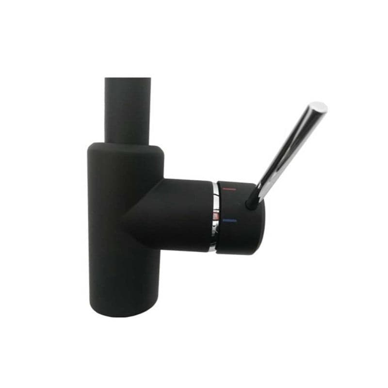 Miscelatore Monocomando Lavello Con Doccia Estraibile Linea Pin- Nero Opaco- Argo- Pezzi 1 in Rubinetti per lavelli da cucina BricoGo - Marano di Napoli, commercioVirtuoso.it