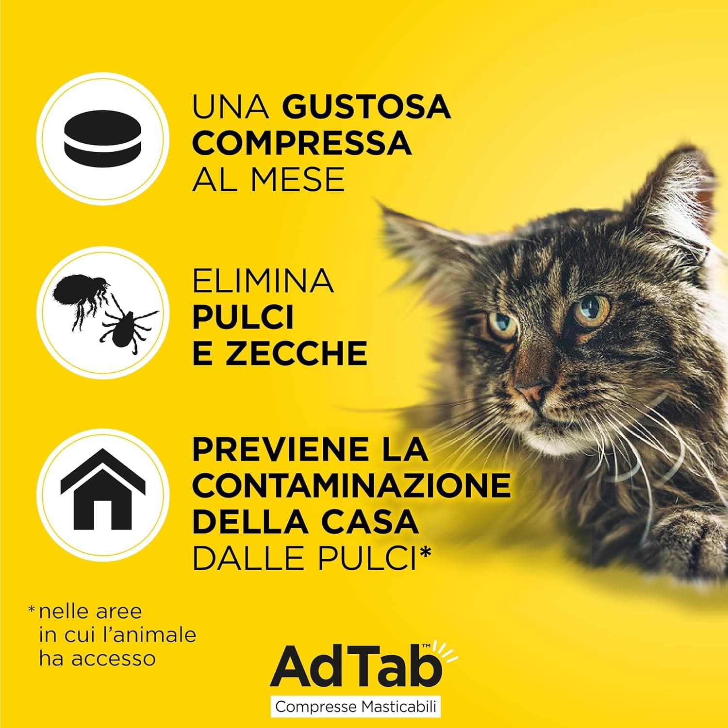 Compresse Antiparassitarie Masticabili Adtab Per Gatti Da 2 A 8 Kg 3 Compresse Da 48 Mg Protezione Mensile Contro Pulci E Zecche Elanco in Secco BricoGo - Marano di Napoli, commercioVirtuoso.it