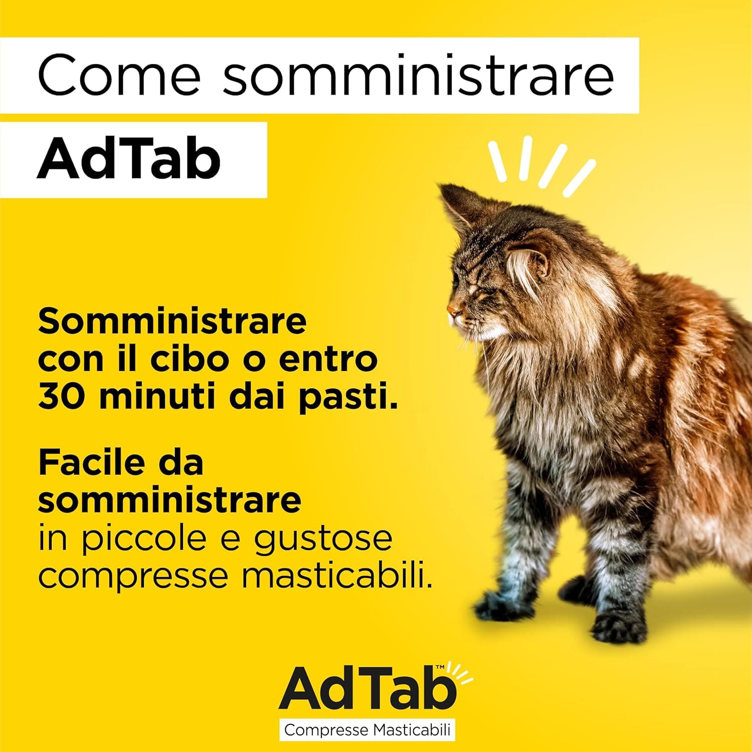 Compresse Antiparassitarie Masticabili Adtab Per Gatti Da 2 A 8 Kg 3 Compresse Da 48 Mg Protezione Mensile Contro Pulci E Zecche Elanco in Secco BricoGo - Marano di Napoli, commercioVirtuoso.it
