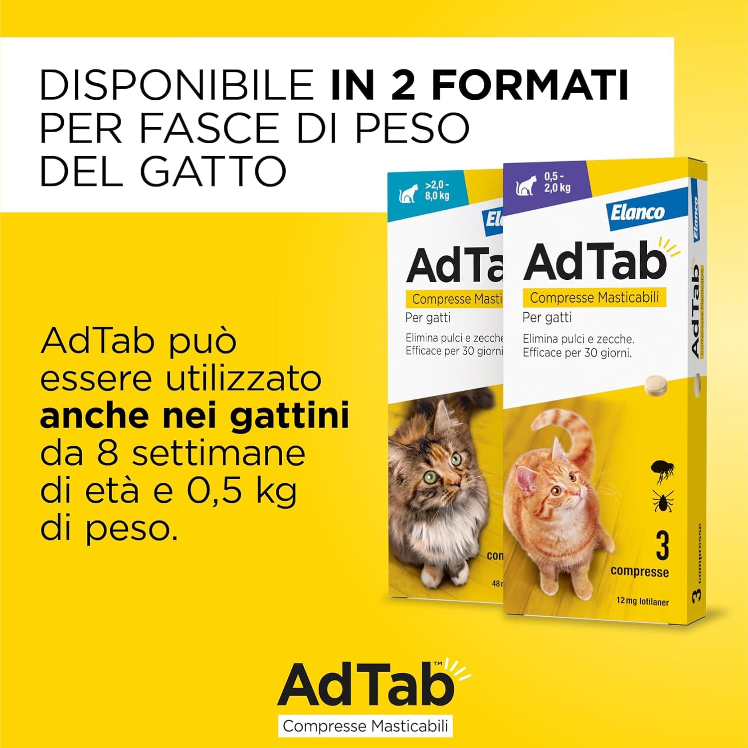 Compresse Antiparassitarie Masticabili Adtab Per Gatti Da 2 A 8 Kg 3 Compresse Da 48 Mg Protezione Mensile Contro Pulci E Zecche Elanco in Secco BricoGo - Marano di Napoli, commercioVirtuoso.it