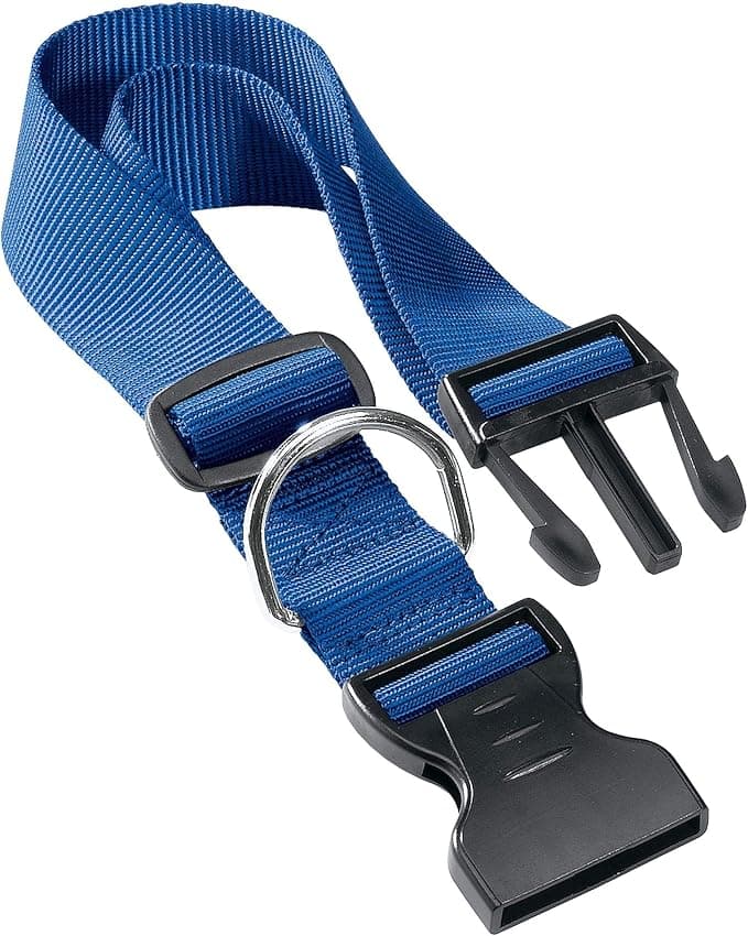 Collare Per Cani 'Club C' 10 Mm X 23÷32 Cm - Ferplast in Collari standard BricoGo - Marano di Napoli, commercioVirtuoso.it