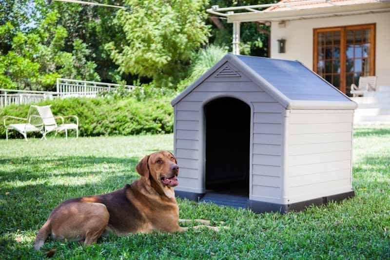 Cuccia Per Cani Grand Hotel In Resina 99X99X99 Cm Con Pavimento Rialzato Resistente Agli Agenti Atmosferici Keter in Casette per cani BricoGo - Marano di Napoli, commercioVirtuoso.it