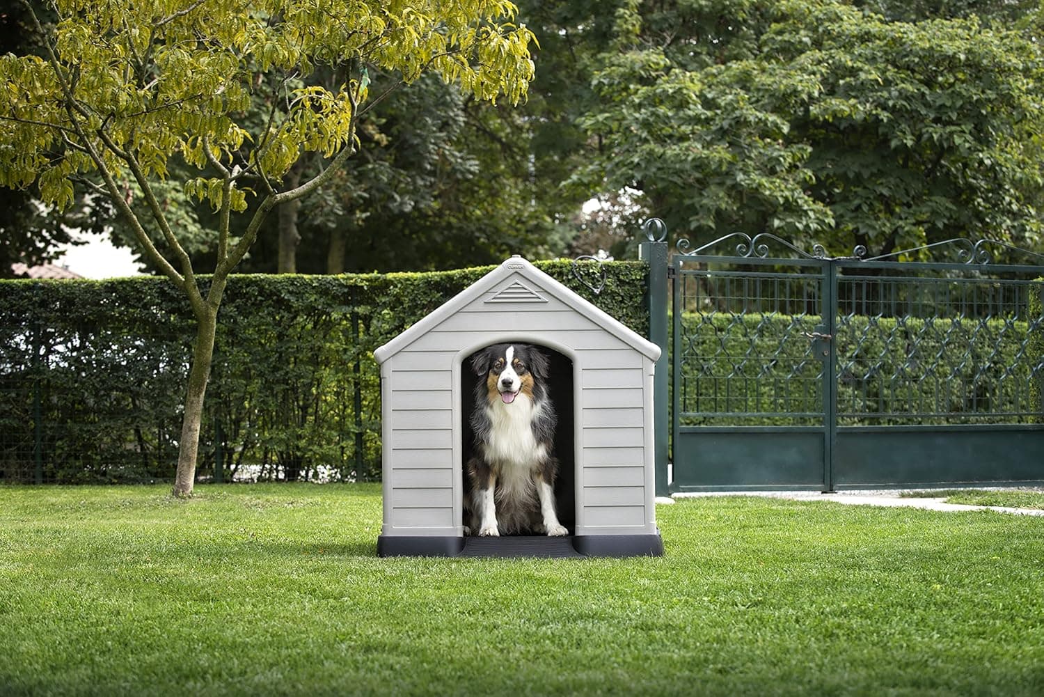Cuccia Per Cani Grand Hotel In Resina 99X99X99 Cm Con Pavimento Rialzato Resistente Agli Agenti Atmosferici Keter in Casette per cani BricoGo - Marano di Napoli, commercioVirtuoso.it