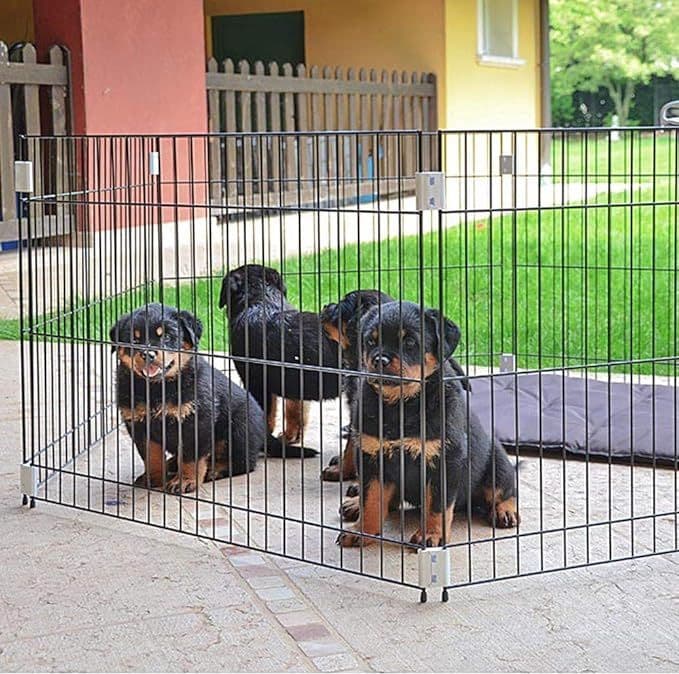Recinto Educativo Per Cuccioli 'Dog Training' Cm 80 X 80 X H 62 - Ferplast in Recinti gioco BricoGo - Marano di Napoli, commercioVirtuoso.it