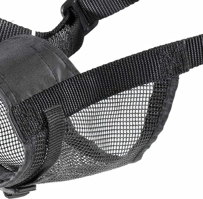 Museruola Per Cane 'Muzzle Net' Misura Xl - Ferplast in Museruole BricoGo - Marano di Napoli, commercioVirtuoso.it