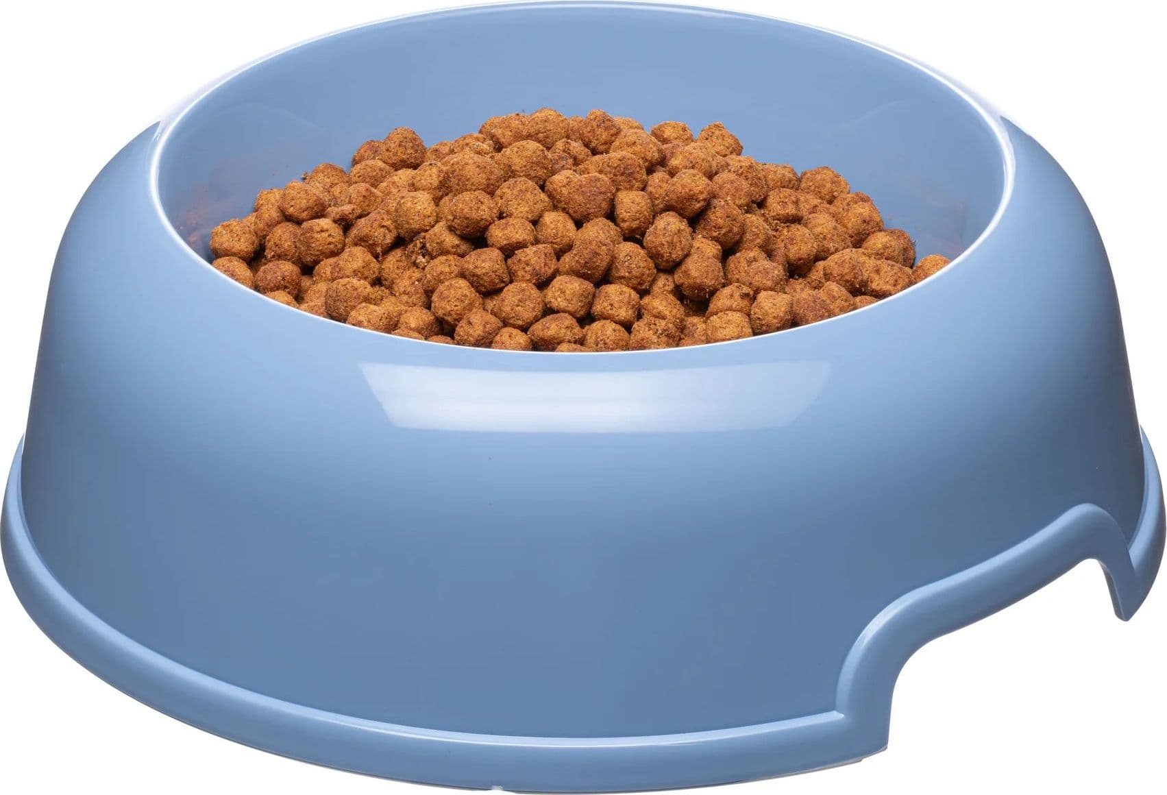 Ciotola Per Cani E Gatti In Plastica Riciclata 2 Litri Ø 29 Cm Con Bordo Antiscivolo E Maniglie Laterali Ferplast in Ciotole BricoGo - Marano di Napoli, commercioVirtuoso.it