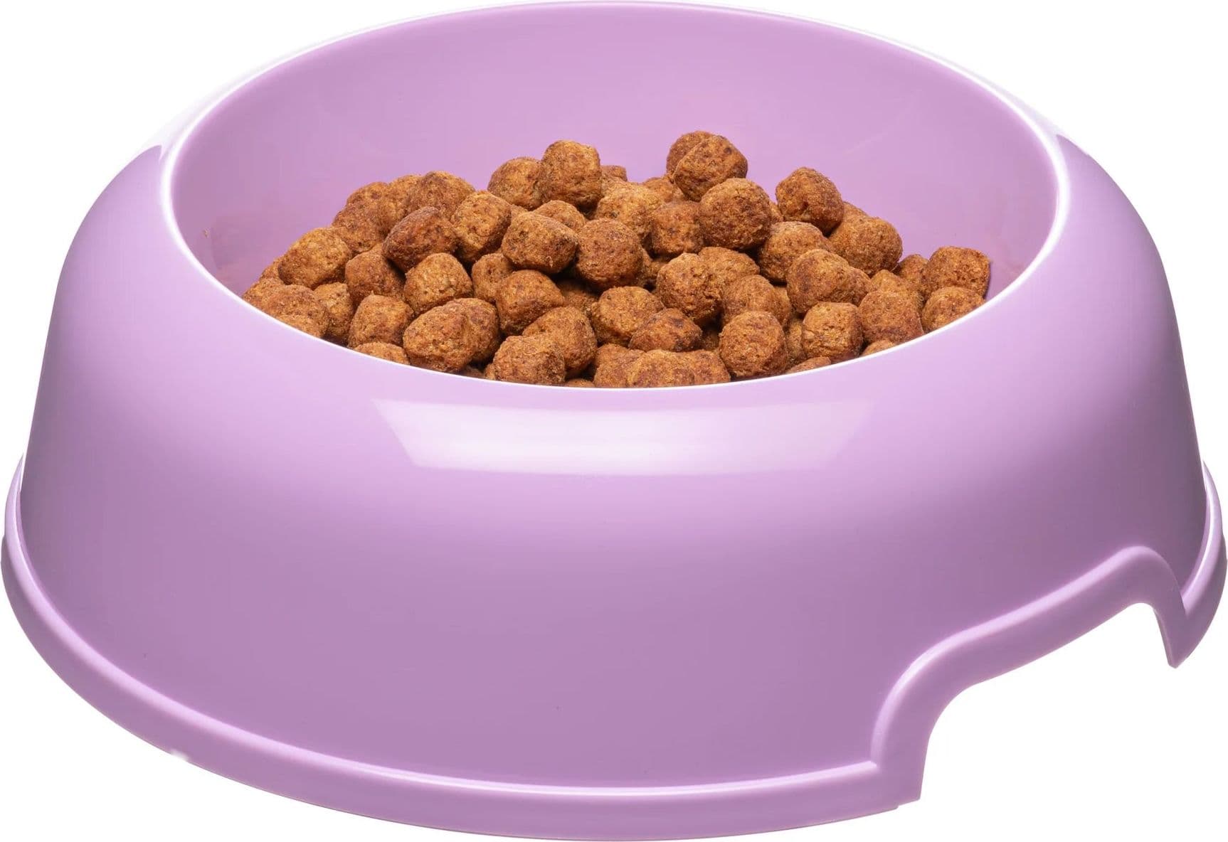 Ciotola Per Cani E Gatti In Plastica Riciclata 0,5 Litri Ø 18,5 Cm Con Bordo Antiscivolo E Maniglie Laterali Ferplast in Ciotole BricoGo - Marano di Napoli, commercioVirtuoso.it