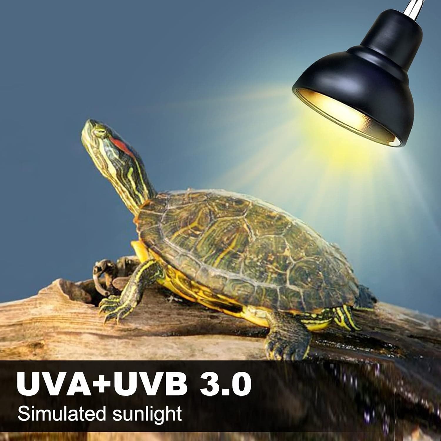 Lampada riscaldante per rettili per acquario con lampadine da 25 W + 50 W in Lampade riscaldanti CL Store - Battipaglia, commercioVirtuoso.it