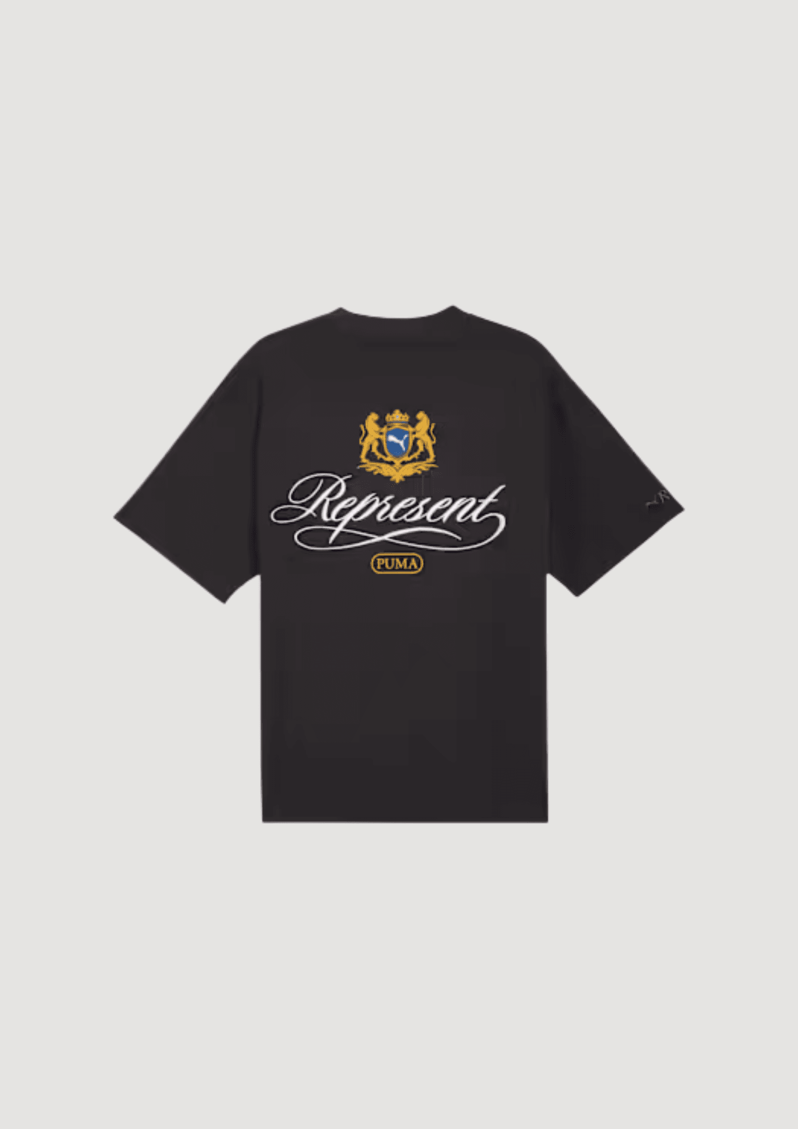 PUMA REPRESENT GRAPHIC TEE da uomo in T-Shirt Drestige - Casamassima, commercioVirtuoso.it