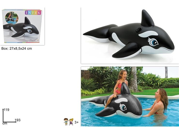 Cavalcabile orca
