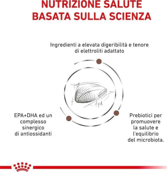 Royal Canin Gastrointestinal Croccantini per Gatti Adulti in Secco 101 Market - Poggibonsi, commercioVirtuoso.it
